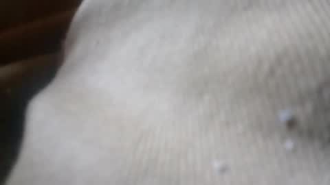 Snapshot of zoeybaby555gfr chatting on June 4, 2026, 5:08 pm bigdickdaddy online show from June 4, 2026, 5:08 pm