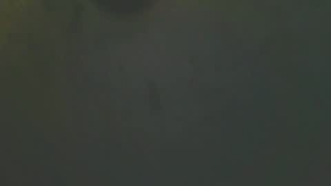 Snapshot of zomma44 chatting on May 27, 2026, 3:03 am zomma44 online show from May 27, 2026, 3:03 am