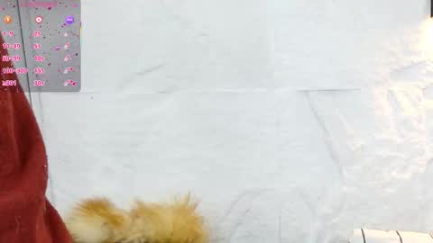 Violeta online show from December 5, 2025, 1:20 pm