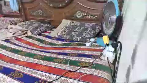 zoyakhan803 online show from February 12, 2026, 10:05 pm