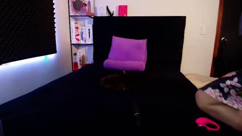 zpzphot online show from February 14, 2026, 4:42 am