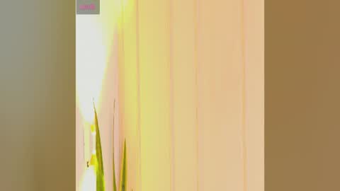 Snapshot of zuzu_sweet chatting on July 25, 2026, 7:22 pm Zara online show from July 25, 2026, 7:22 pm