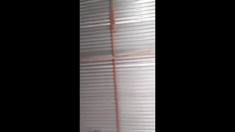 zzzlannimuslzzz online show from March 8, 2026, 10:02 pm