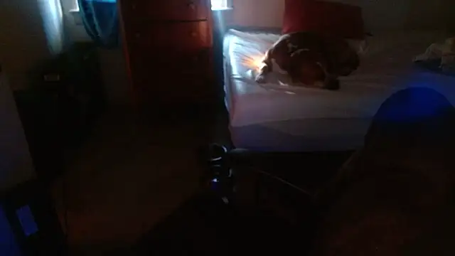 DADDY KANE8--- online show from January 17, 2026, 9:29 pm