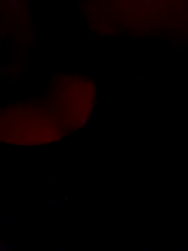 FerLu8 online show from February 26, 2026, 4:00 am