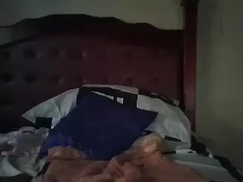 Snapshot of Skyofficial876 chatting on December 31, 2024, 3:53 pm Skyofficial876 online show from December 31, 2024, 3:53 pm