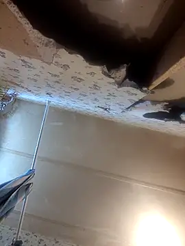 AshleyDalton101 online show from March 29, 2026, 6:08 pm