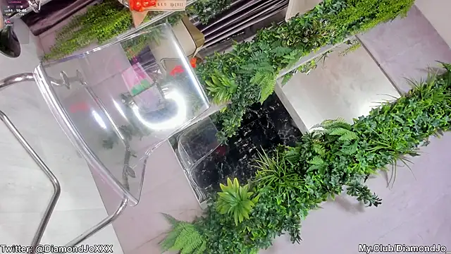 Snapshot of DiamondJo_ chatting on December 6, 2024, 4:36 am DiamondJo online show from December 6, 2024, 4:36 am