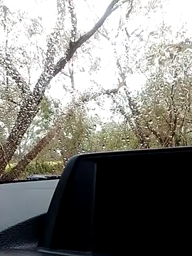 stiffandlubedxh online show from October 21, 2025, 9:04 pm