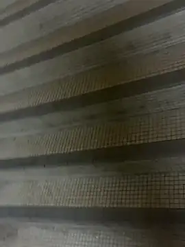 wSilEliaXm online show from September 16, 2025, 2:56 am