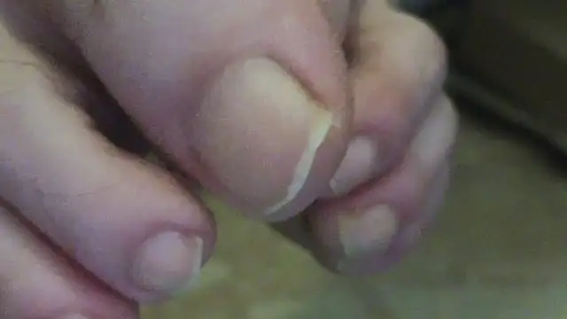 Snapshot of curiosillo83 chatting on June 2, 2026, 2:35 am curiosillo83 online show from June 2, 2026, 2:35 am