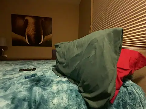 Snapshot of Bwcjoshbanks chatting on January 31, 2025, 5:30 am Bwcjoshbanks online show from January 31, 2025, 5:30 am