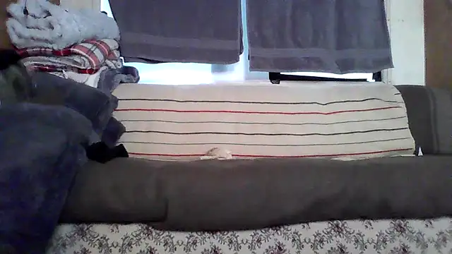 deepstroker42071 online show from March 14, 2026, 9:31 pm