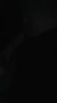 Snapshot of Bi_curious86 chatting on November 13, 2025, 4:44 am Bi curious86 online show from November 13, 2025, 4:44 am