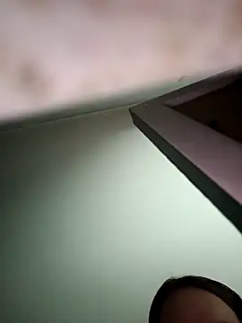 Snapshot of bruna_safadinhaa chatting on November 13, 2025, 11:53 am bruna safadinhaa online show from November 13, 2025, 11:53 am