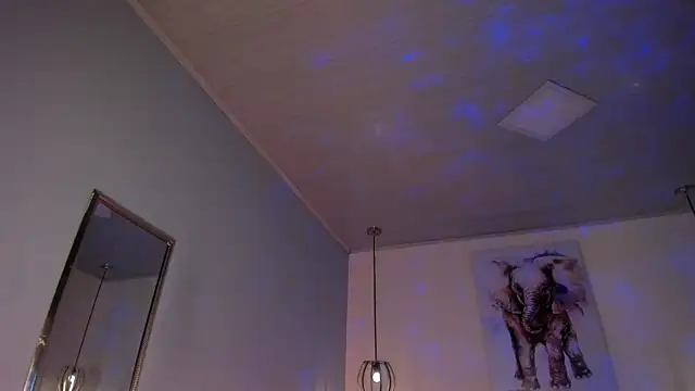 ayshel   online show from February 10, 2026, 2:04 am