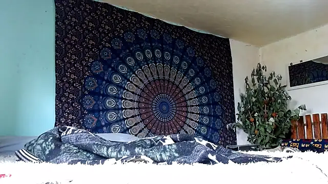 Tylerfordxxx online show from February 20, 2026, 3:01 pm