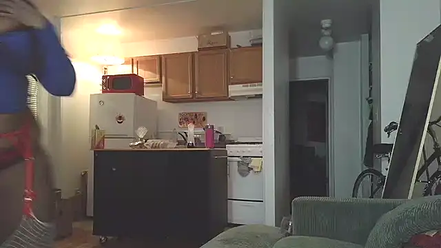 Snapshot of SiminFox chatting on December 18, 2025, 3:12 am SiminFox online show from December 18, 2025, 3:12 am