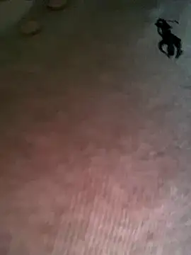 Ruby bear online show from December 19, 2025, 3:46 am