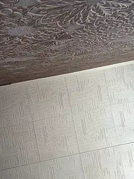 Snapshot of AmmyHot chatting on November 20, 2025, 6:13 am AmmyHot online show from November 20, 2025, 6:13 am