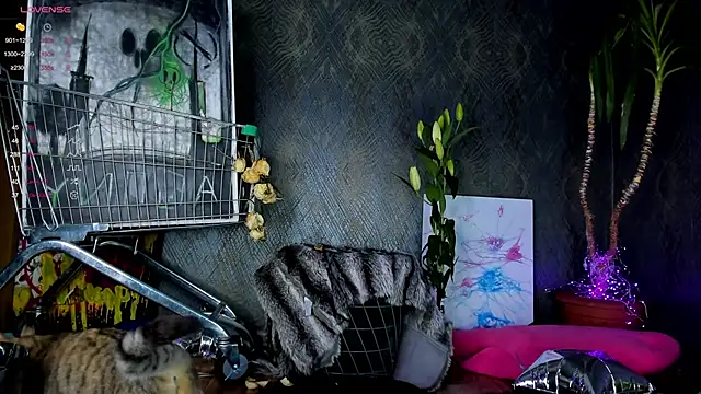 Snapshot of little_grinch666 chatting on January 30, 2025, 7:59 pm little grinch666 online show from January 30, 2025, 7:59 pm