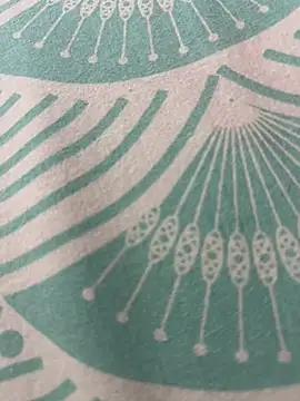 Snapshot of kannadatelugugirl chatting on January 1, 2025, 3:13 am kannadatelugugirl online show from January 1, 2025, 3:13 am