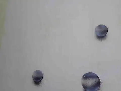 Jillian Pattie online show from February 12, 2025, 5:05 pm