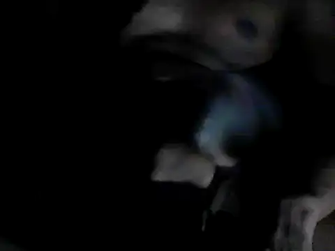 GRATEFUL16 online show from February 6, 2025, 7:40 pm