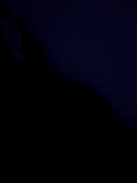 Snapshot of stefanie010 chatting on March 19, 2026, 11:36 am stefanie010 online show from March 19, 2026, 11:36 am