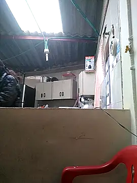 Cameron puppy online show from March 16, 2026, 6:12 pm