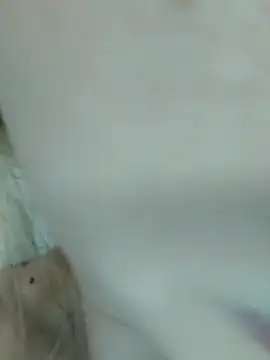 Elza kom online show from March 1, 2025, 7:51 am