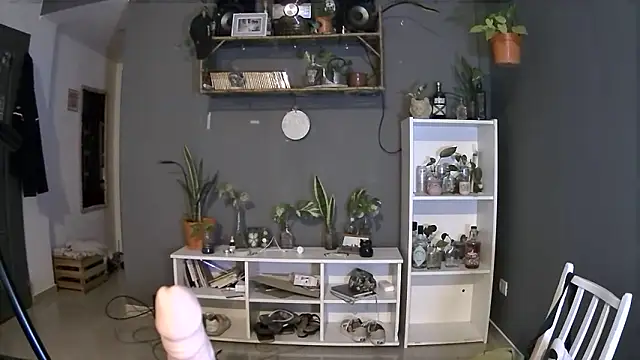 stupid babybird online show from March 4, 2025, 1:23 am