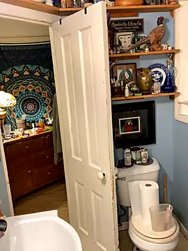 Snapshot of sexyasscougar chatting on October 6, 2025, 7:39 am sexyasscougar online show from October 6, 2025, 7:39 am