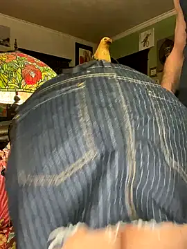 Snapshot of sexyasscougar chatting on November 29, 2025, 4:04 am sexyasscougar online show from November 29, 2025, 4:04 am