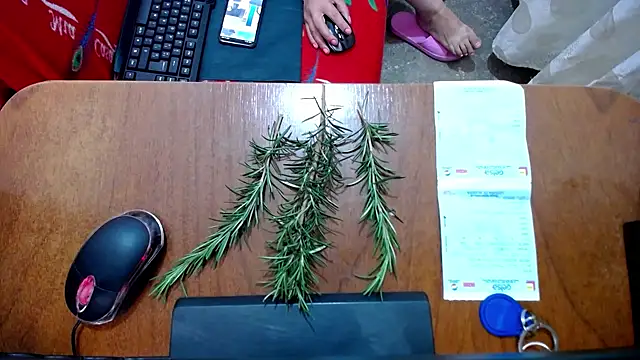 Malaya88 online show from February 16, 2025, 4:42 pm