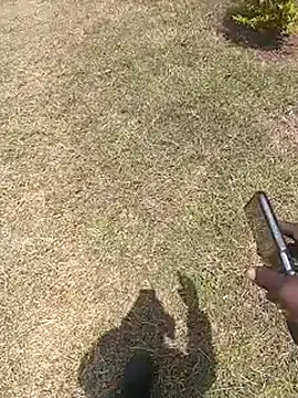 NattyDreadKenya online show from July 29, 2026, 9:51 am