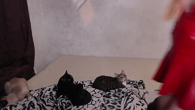 Olivia Winston online show from November 30, 2025, 10:58 pm