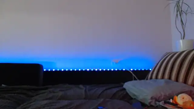 Jinna milli online show from February 4, 2025, 10:02 pm