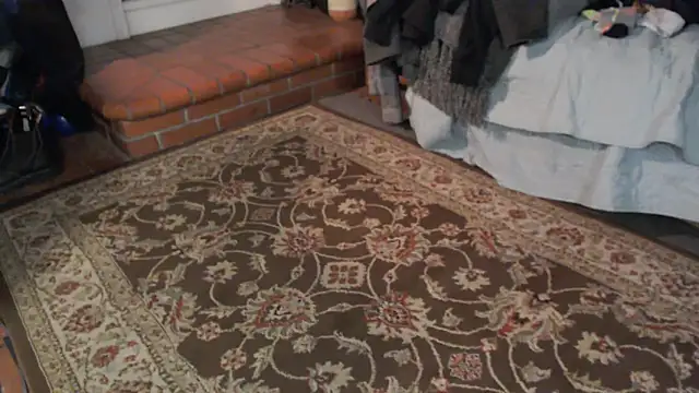 Snapshot of Dark_Asteroid chatting on March 5, 2026, 12:23 pm Dark Asteroid online show from March 5, 2026, 12:23 pm