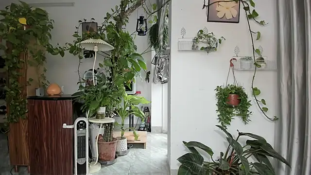 Oliver Nl online show from March 3, 2026, 4:07 am