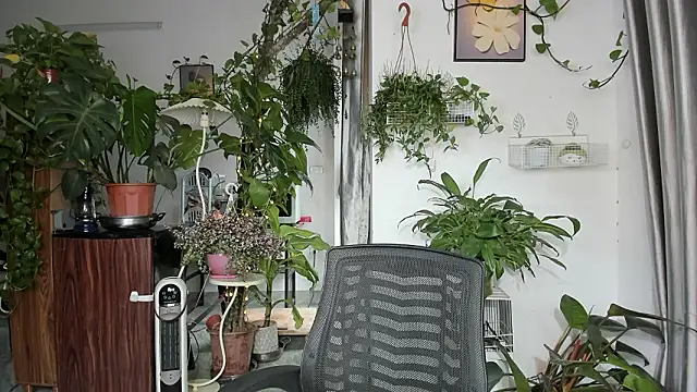 Oliver Nl online show from March 14, 2026, 5:24 am