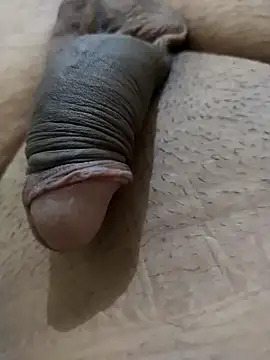 Snapshot of Dog546i chatting on September 8, 2025, 4:50 pm Dog546i online show from September 8, 2025, 4:50 pm