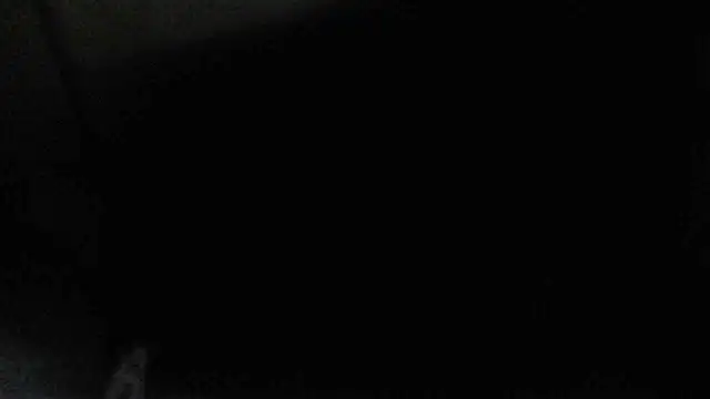 Snapshot of perversalus chatting on December 17, 2024, 4:34 am perversalus online show from December 17, 2024, 4:34 am