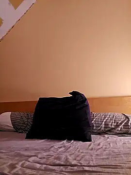 anald66666 online show from February 9, 2025, 10:21 pm