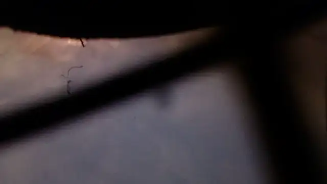 Snapshot of Cordt30 chatting on February 12, 2026, 4:46 pm Cordt30 online show from February 12, 2026, 4:46 pm