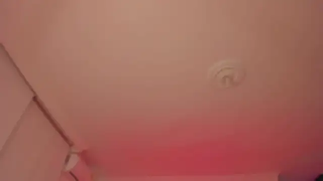 Snapshot of Taylor__foxxx chatting on February 14, 2025, 4:04 am Taylor foxxx online show from February 14, 2025, 4:04 am