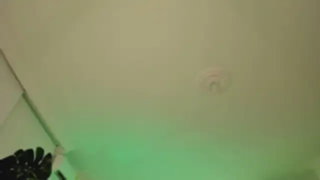 Snapshot of Taylor__foxxx chatting on March 6, 2025, 4:08 am Taylor foxxx online show from March 6, 2025, 4:08 am