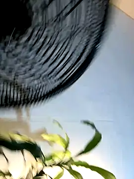 Snapshot of _Miguel100 chatting on November 6, 2025, 2:56 am Miguel100 online show from November 6, 2025, 2:56 am