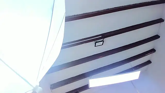 Snapshot of Oriana_Guzman chatting on February 22, 2025, 6:41 pm Oriana Guzman online show from February 22, 2025, 6:41 pm