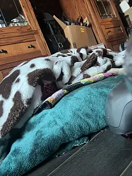 Snapshot of SexyB214 chatting on March 7, 2025, 12:15 am SexyB214 online show from March 7, 2025, 12:15 am